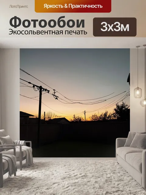 Фотообои задний двор с электрическими проводами