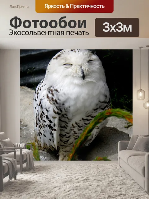 Фотообои Снежная сова