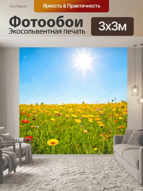 Фотообои яркие цветы в поле под ярким солнечным небом