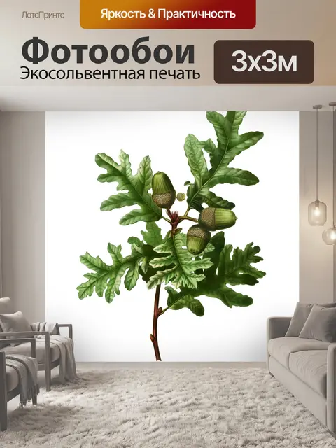 Фотообои Дубовый лист листва арт винтаж