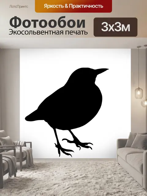 Фотообои Птица силуэт, Blackbird