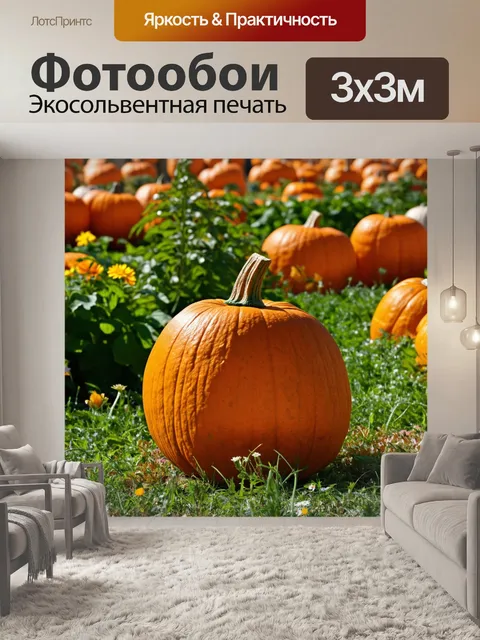 Фотообои оранжевый цвет: оранжевые мускусные тыквы в поле