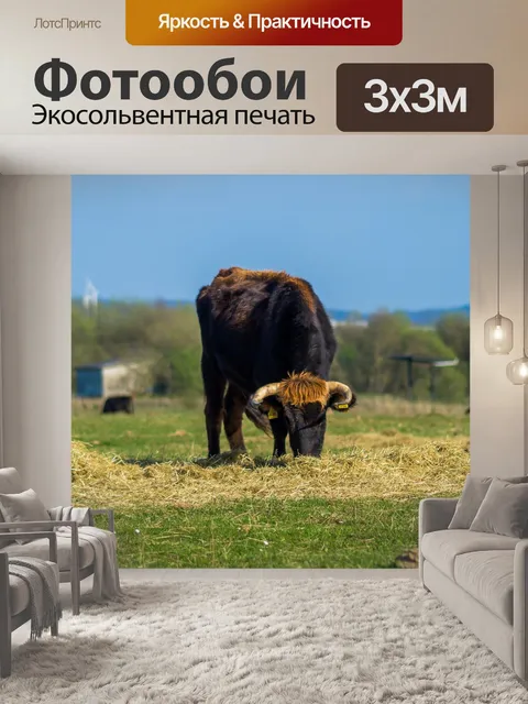 Фотообои Задний говяжья