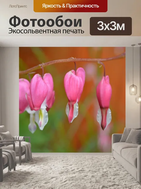Фотообои Цветы