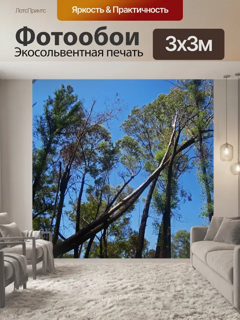 Фотообои наклонное дерево на фоне голубого неба