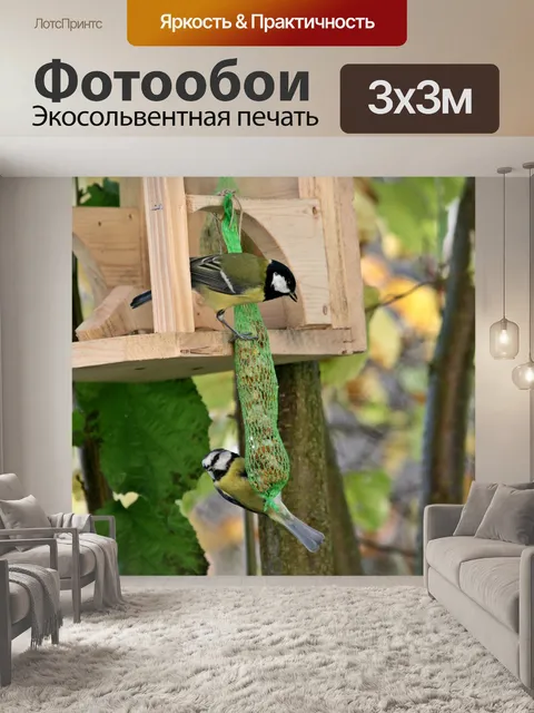 Фотообои Две птицы