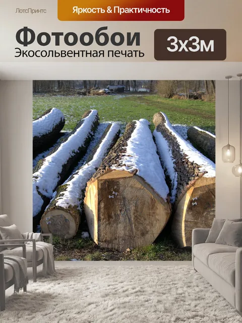 Фотообои Зима