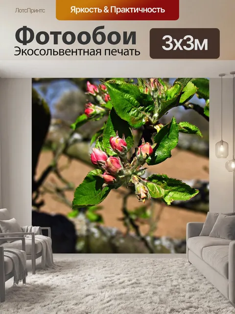 Фотообои Дерево