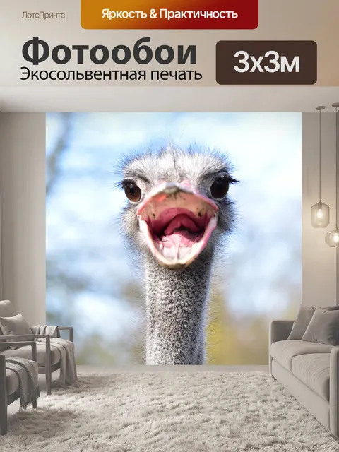 Фотообои Штраус