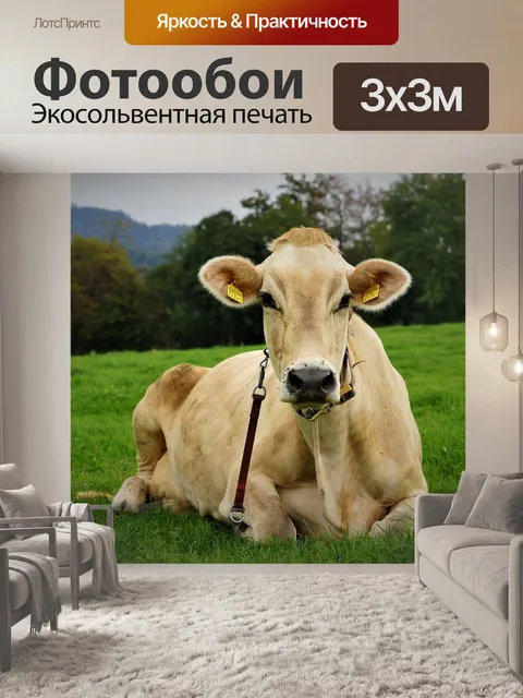 Фотообои Животное
