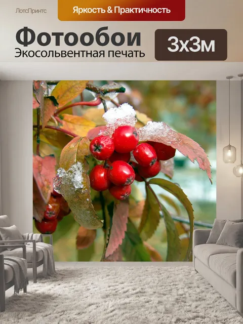 Фотообои Рябина