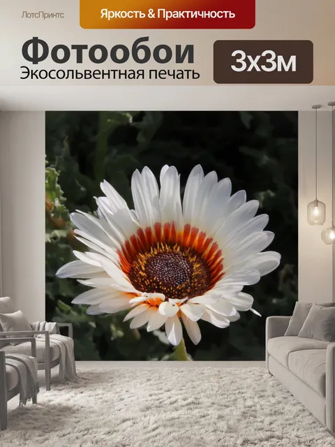 Фотообои Цветы