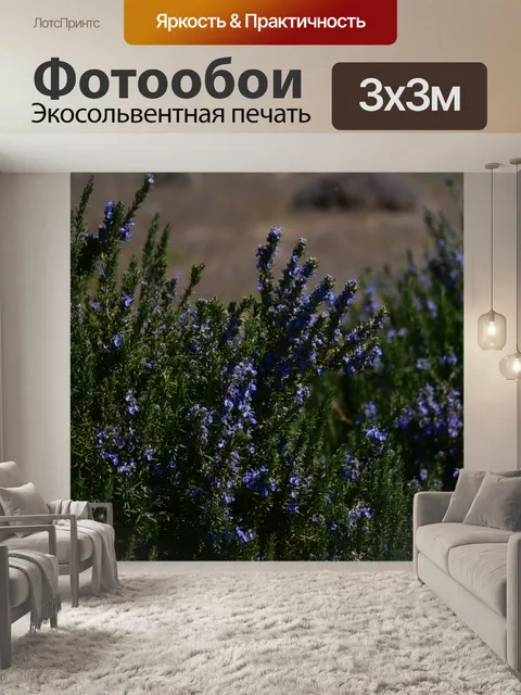 Фотообои Полноцветная лаванда