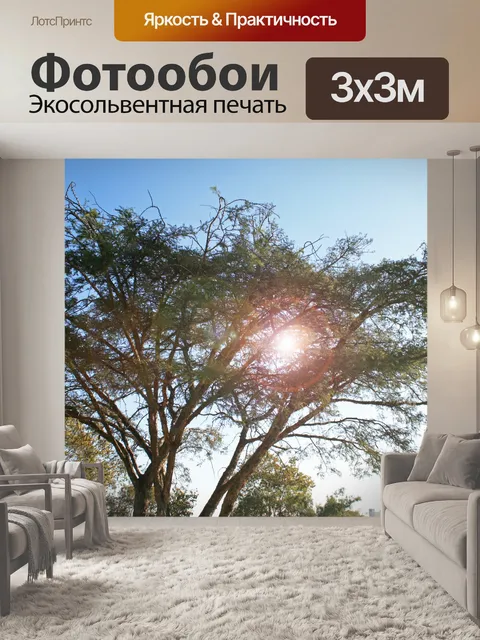 Фотообои дерево с блик