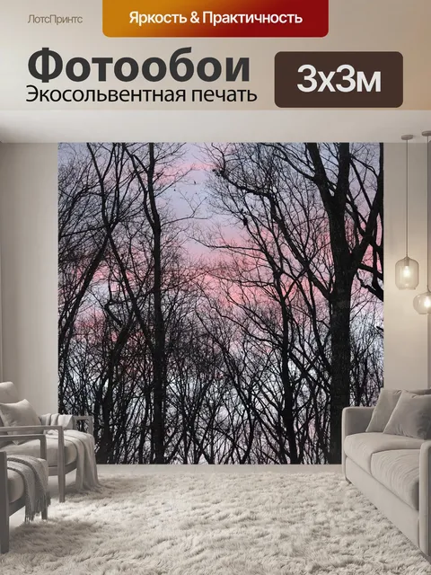Фотообои Восход солнца облака сквозь деревья