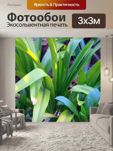 Фотообои Солнце на Agapanthus листьев