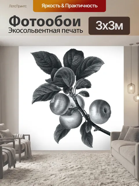 Фотообои яблоки винтажное искусство рисунок