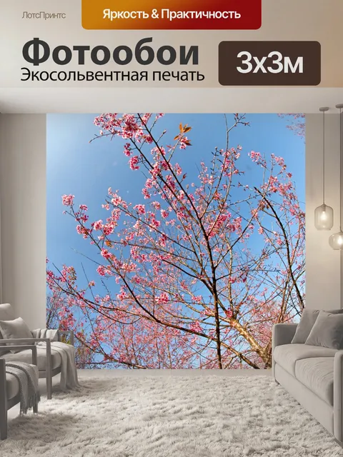 Фотообои Prunus cerasoides, дикая гималайская виш