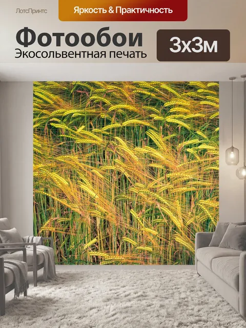 Фотообои Зерно