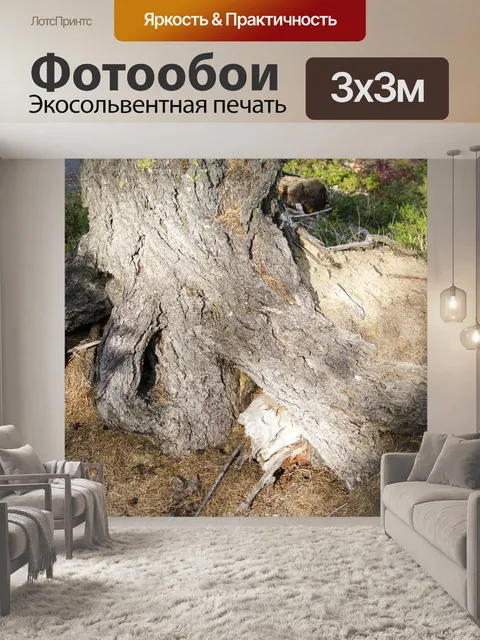 Фотообои Дерево