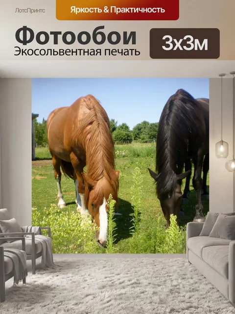 Фотообои Лошади на пастбище