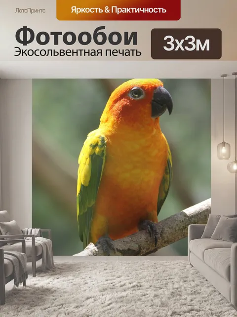 Фотообои Птица