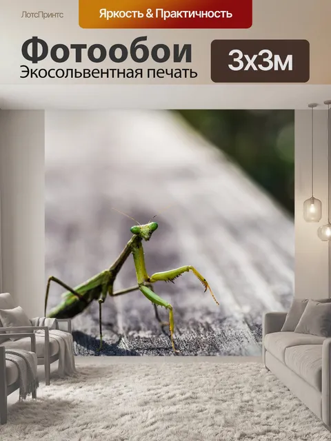 Фотообои Богомол