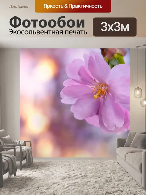Фотообои Сакуры цветок солнечный свет боке