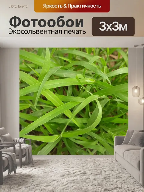 Фотообои Зеленый изображения