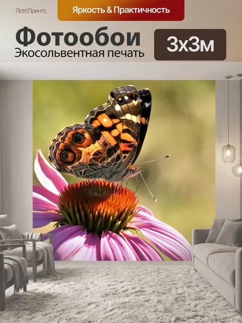 Фотообои Бабочка на розовом цветке крупным планом