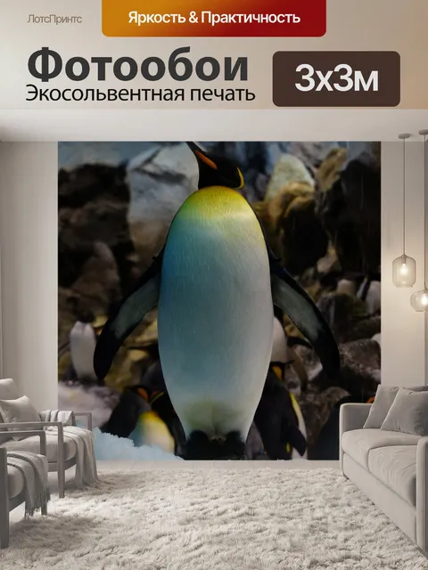 Фотообои Королевский пингвин