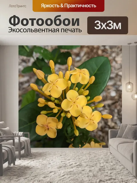 Фотообои Цветы