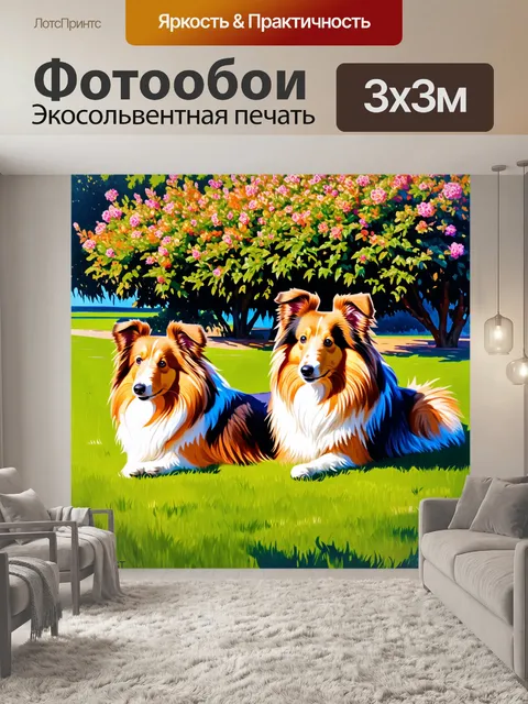 Фотообои два шелти, лежащие на траве в парке в ясный день, рядом с цветущими кустами