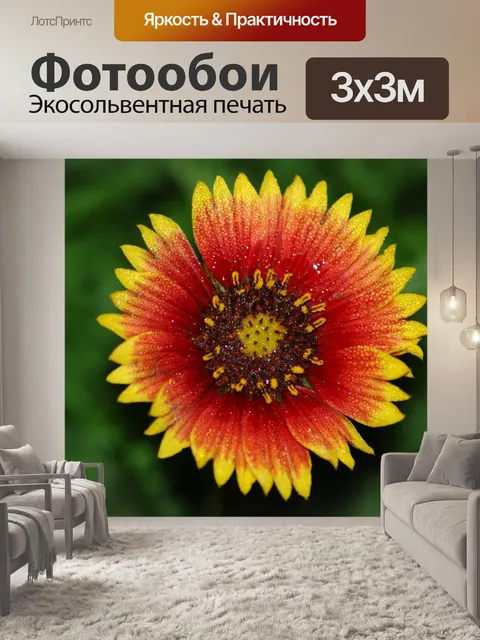 Фотообои Полевой цветок
