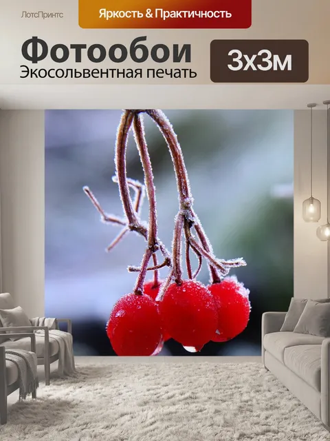 Фотообои Красные ягоды