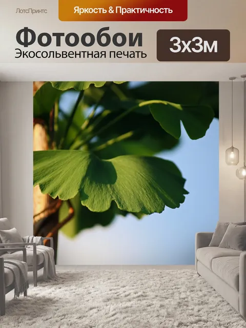 Фотообои солнечный свет на зеленом гинкго билоба