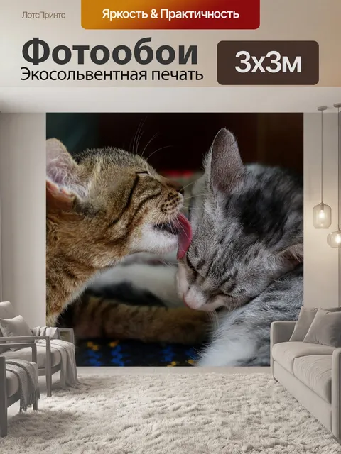 Фотообои Котенок