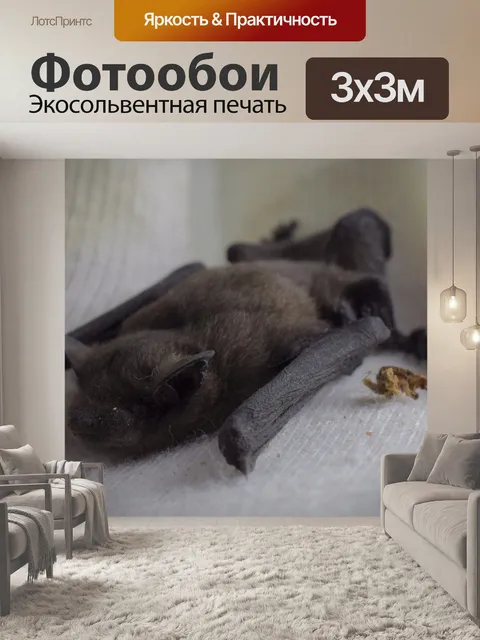 Фотообои Вечером моряки
