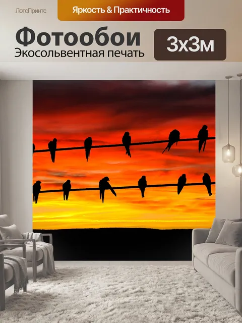 Фотообои Птицы на проволоке Закат