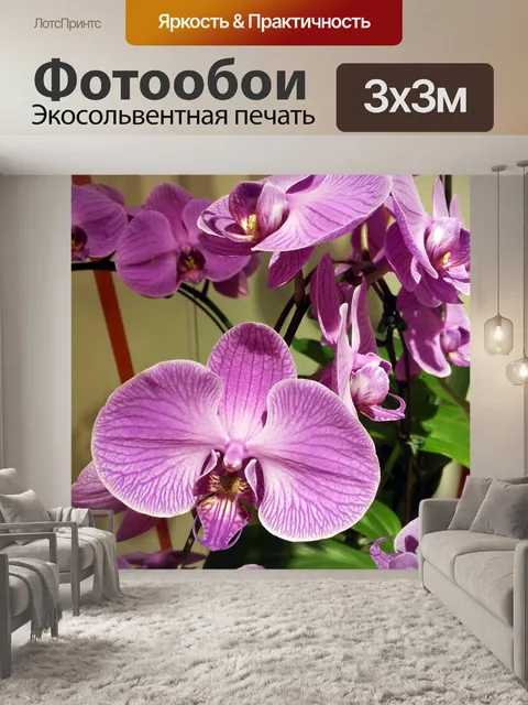Фотообои фиолетовые орхидеи лепесток цветка