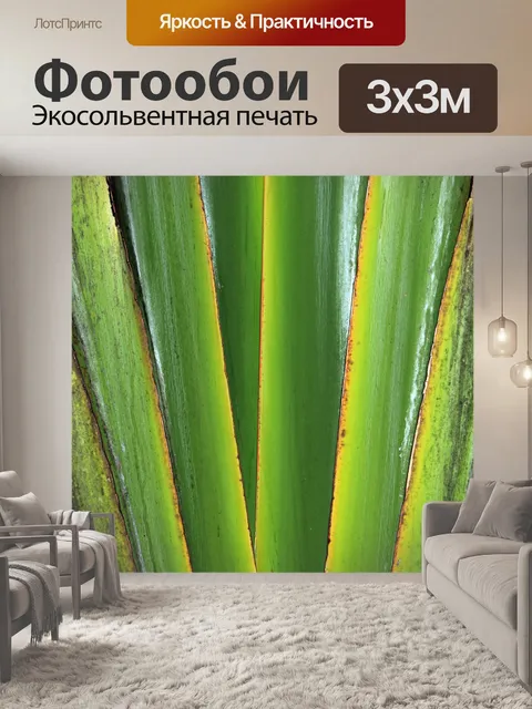 Фотообои Stripes Зеленые листья