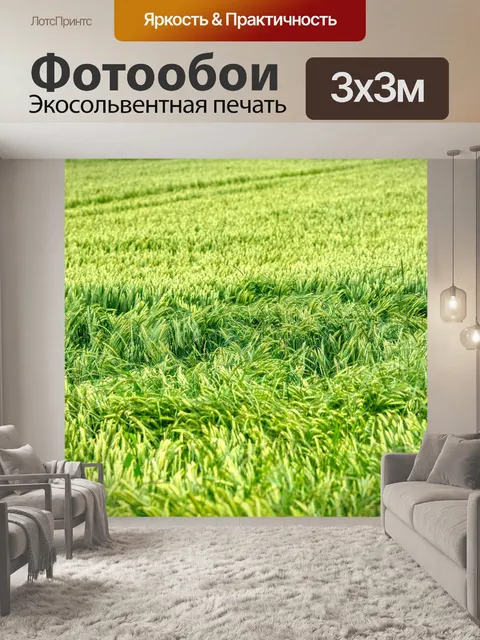 Фотообои Пшеничное поле