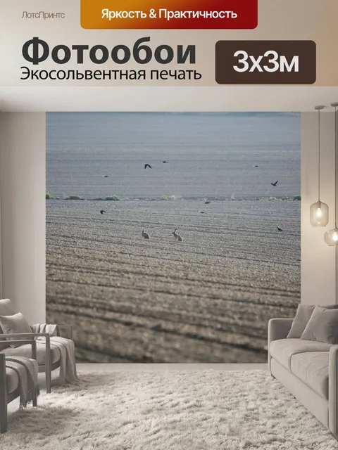 Фотообои Кролики