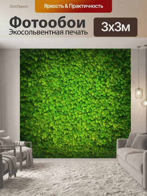 Фотообои рамка, вдохновленная природой, с элементами лиственных узоров и текстур, которые напоминают о лесах