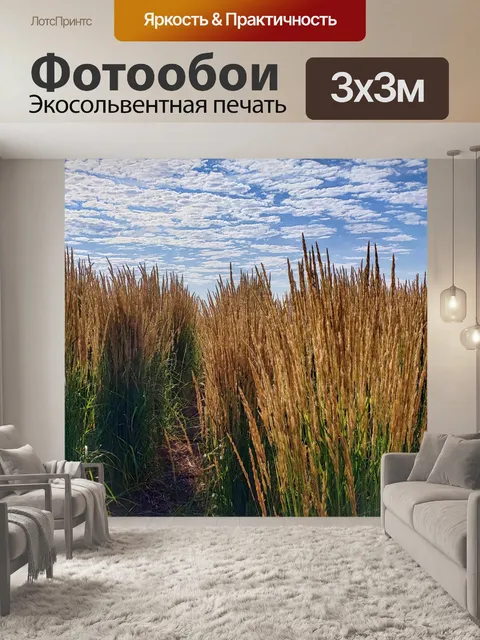 Фотообои кисть и небо