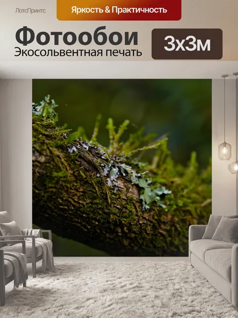 Фотообои Teal Мосс