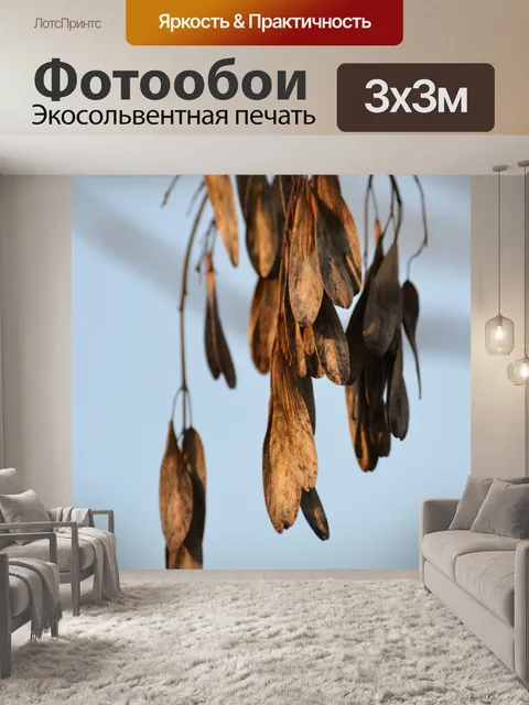Фотообои Пепел