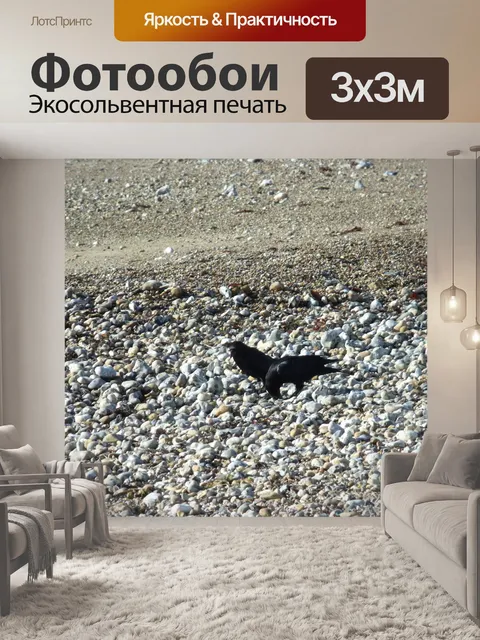 Фотообои Две вороны на пляже