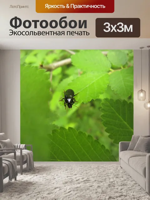 Фотообои Insect