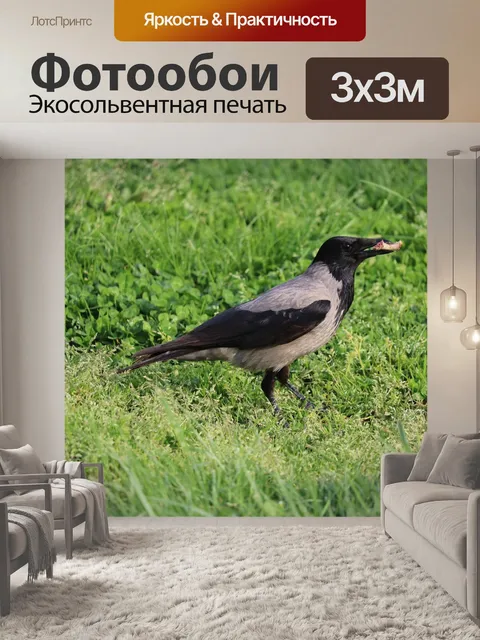 Фотообои Птицы